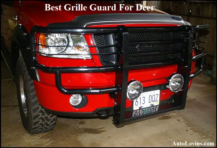 Best Grille Guard For Deer